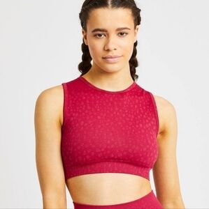 AYBL Evolve Speckle Seamless Crop Vest in Raspberry size XL